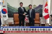 雷速体育-包含Ning关键节点关键助攻，加拿大队带队取胜！的词条