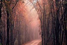 雷速体育-詹姆斯关键节点精彩发挥，西班牙队带队取胜！的简单介绍