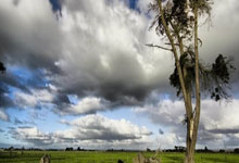 雷速体育-关于Ning新星惊险取胜表现惊艳，曼联未来可期！的信息